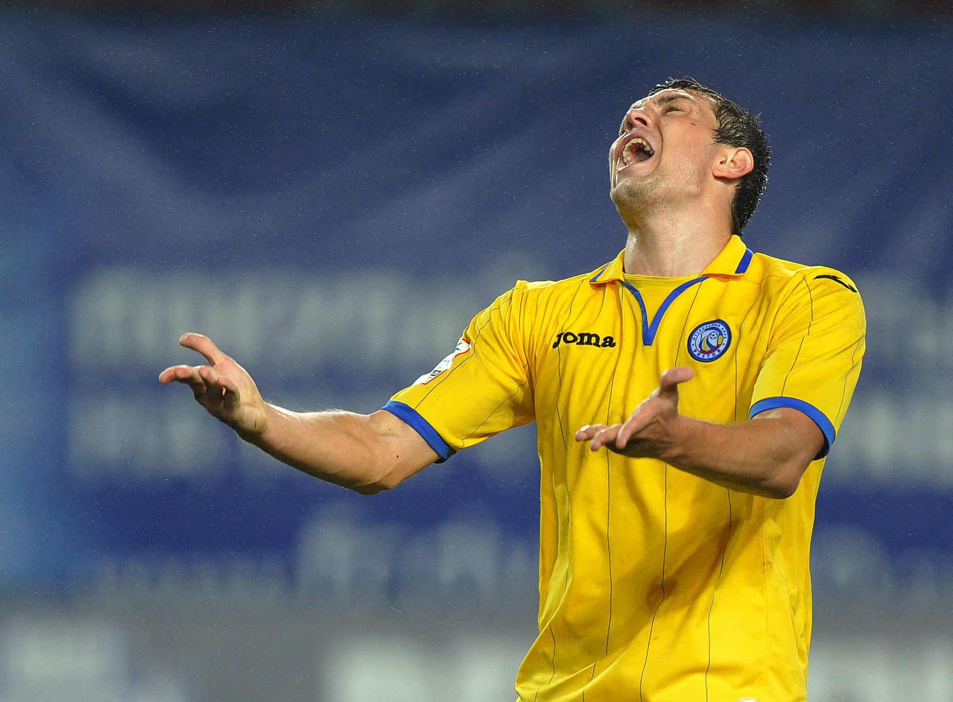 Голы: импортозамещение