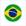 Бразилия жен, эмблема команды