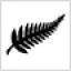 Новая Зеландия U-20, эмблема команды