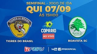 Тигрес Бразил - Боависта СК. Обзор матча