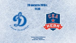 Динамо СПб - СКА-Нева. Обзор матча