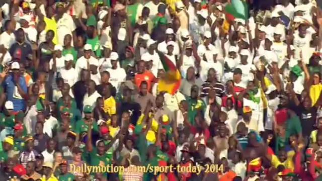 Камерун - Тунис. Обзор матча