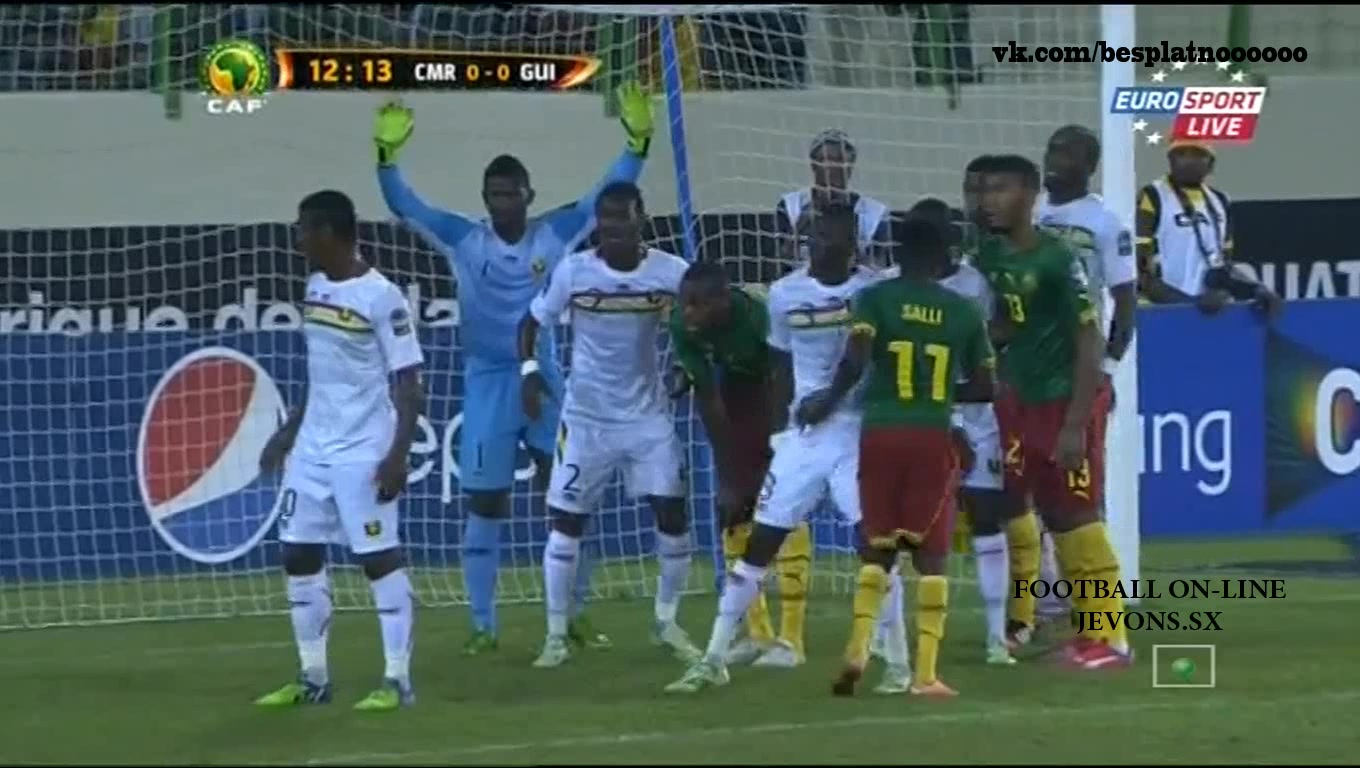 Камерун - Гвинея. Обзор матча