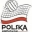 Volleyball. Poland. Plusliga