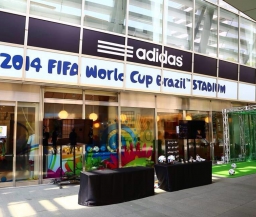 ФИФА считает, что Бразилия не готова принимать ЧМ-2014
