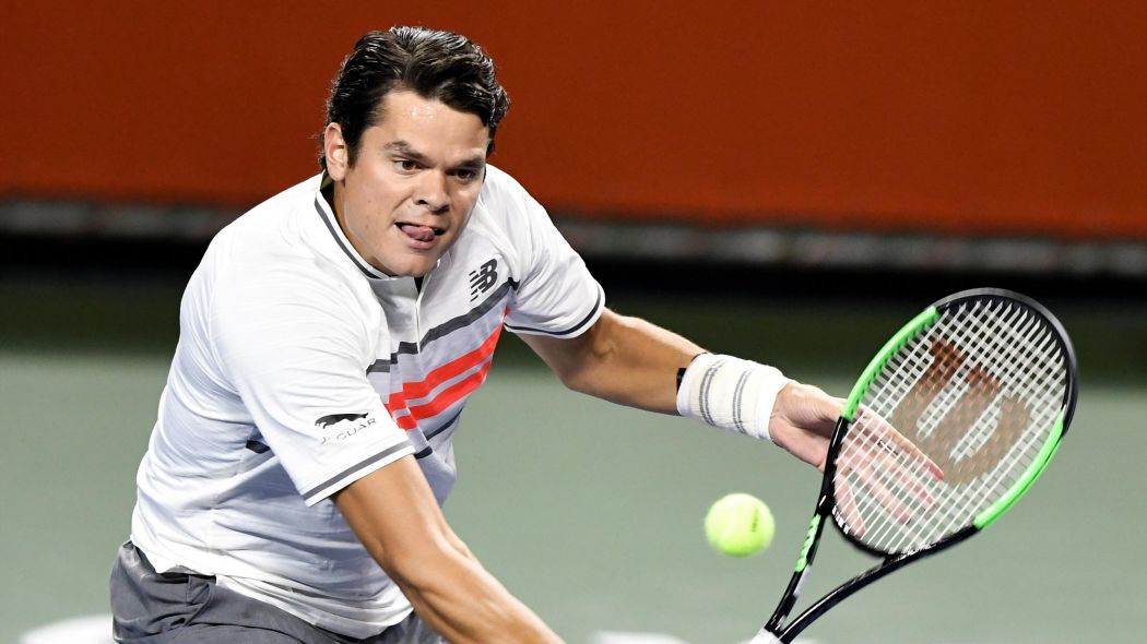 Раонич в трех сетах победил Димитрова