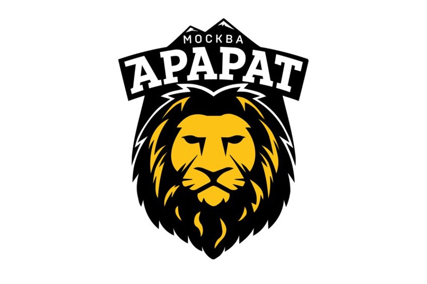 Врач \"Арарат\" спас человека на борту самолета