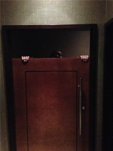 Одноклубник Овечкина просидел 40 минут в душе