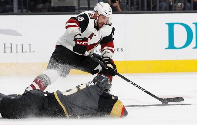 \"Аризона Койотс\" оказалась сильнее \"Вегас Голден Найтс\"