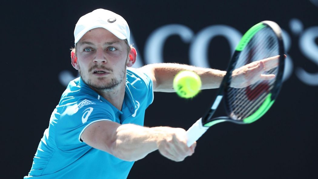 Гоффин одержал победу над Дель Потро