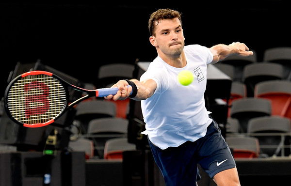 Димитров в двух сетах победил Гоффина