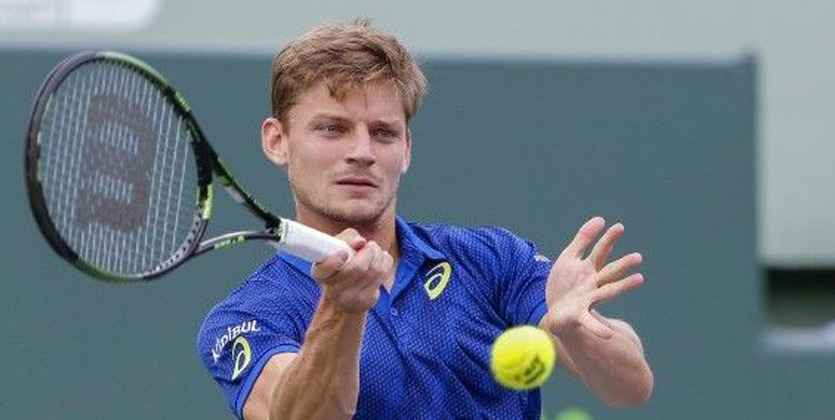 Гоффин без проблем обыграл Тима