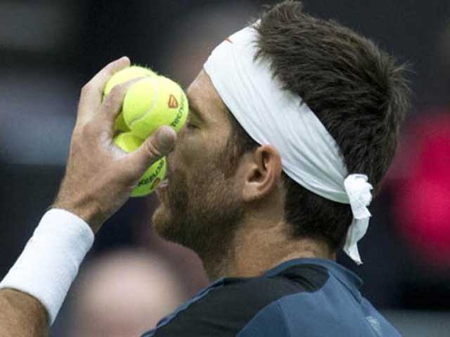 Аргентинец дель Потро может пропустить \"Ролан Гаррос\" 