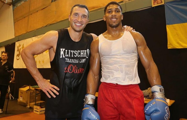 Джошуа: Кличко нельзя сбрасывать со счетов