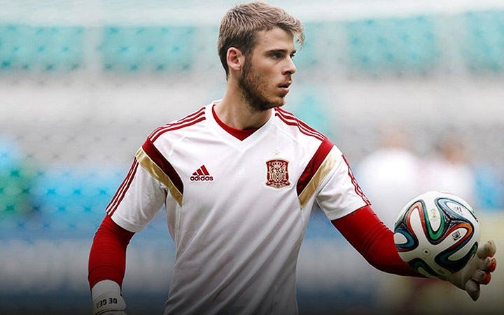 Дель Боске поддержал Де Хеа