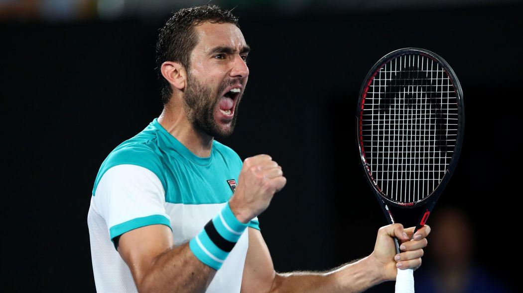 Чилич не относит себя к фаворитам US Open