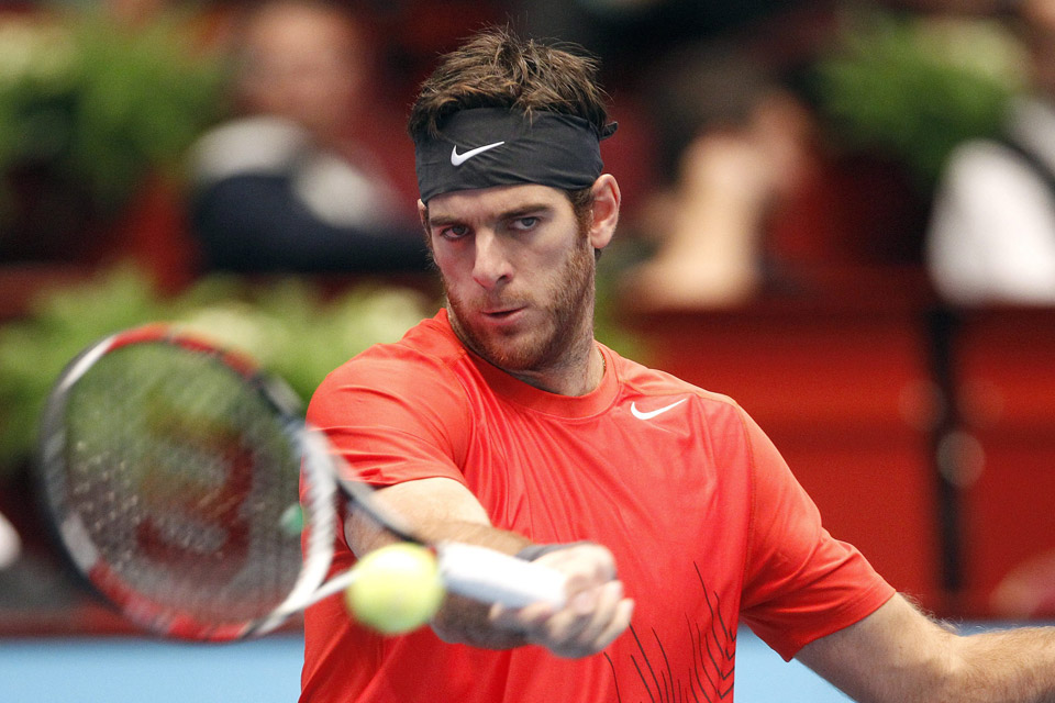 Хуан Мартин дель Потро  вышел в 1/2 Уимблдона