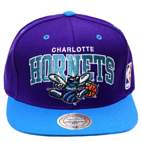 Клуб НБА \"Шарлотт\" будет называться \"Хорнетс\"