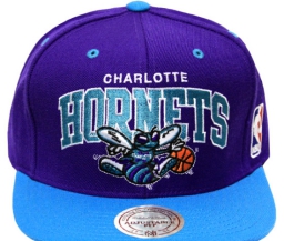 Клуб НБА "Шарлотт" будет называться "Хорнетс"