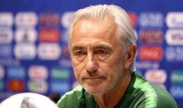 Ван Марвейк назначен главным тренером сборной ОАЭ