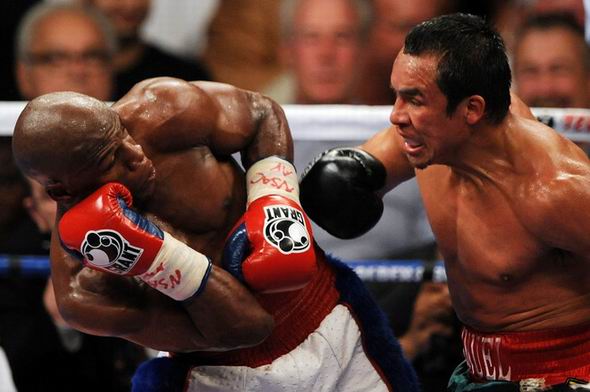 Официально. Мейвезер-младший встретится с Герреро