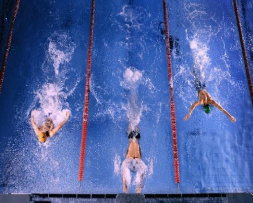 Плавание. Канада примет чемпионат мира-2016 на короткой воде