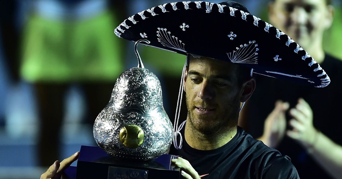 Дель Потро обыграл Андерсона в финале турнира в Акапулько