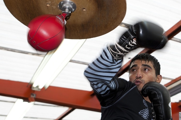 Моралес получит специальный пояс чемпиона по версии WBO