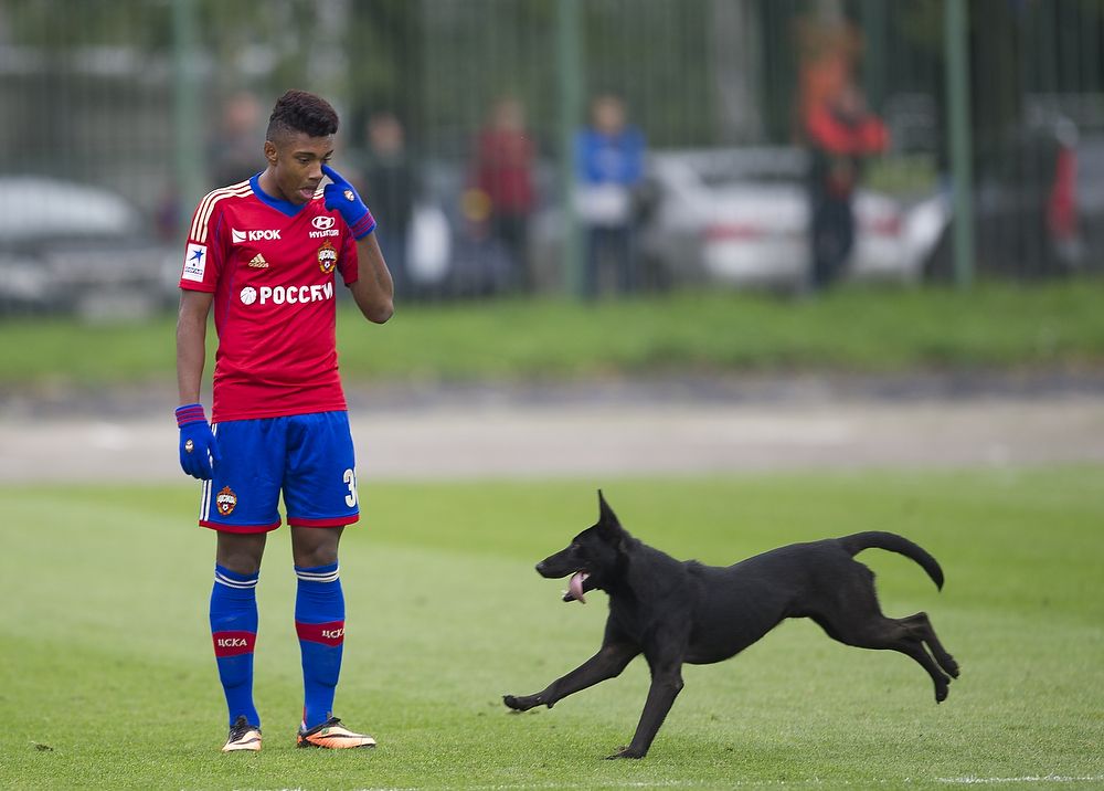 ЦСКА готов продать Витиньо