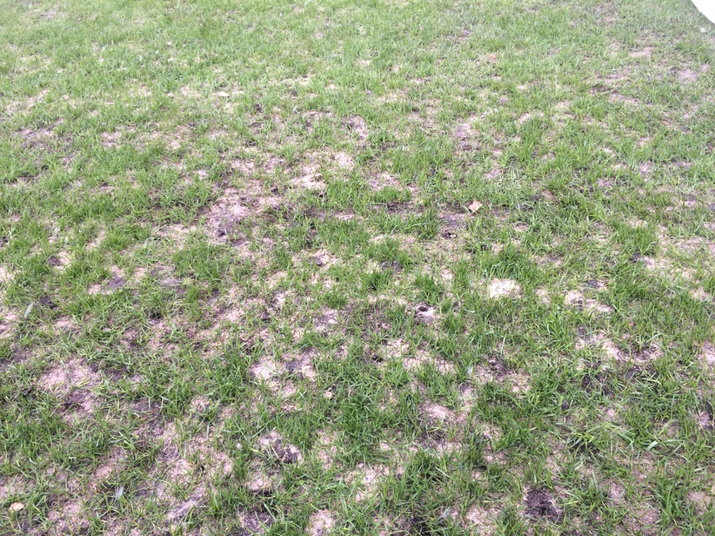 Экс-игрок \"Спартака\": ЦСКА испугался Аленичева