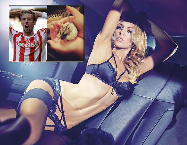 Форвард клуба АПЛ испытывает страх перед хомяками