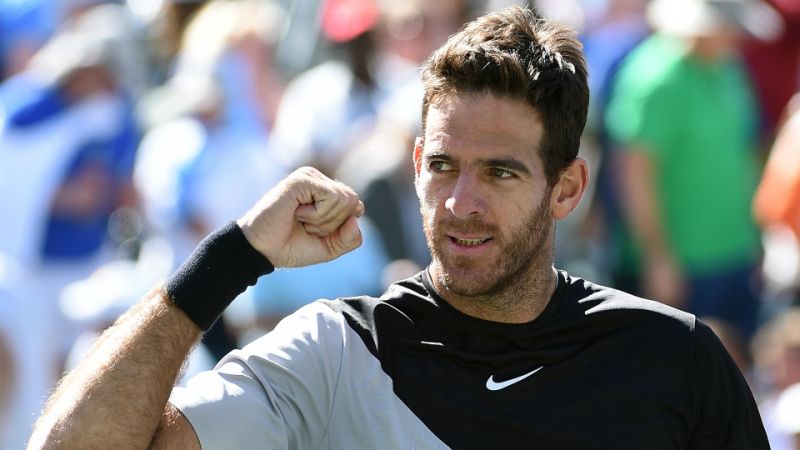 Дель Потро прокомментировал победу над Джумхуром