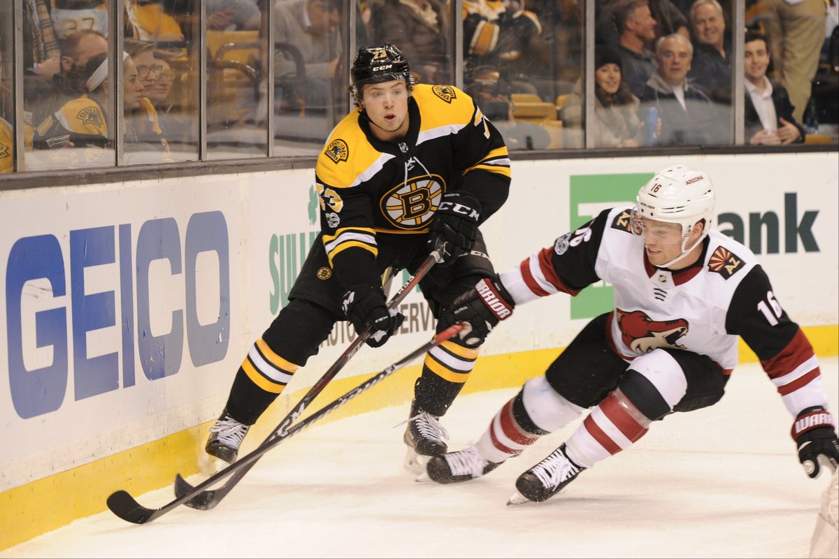 \"Бостон\" забил 6 шайб в ворота \"Аризоны\"