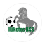 Ilukstes NSS, team logo