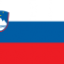 Словения, эмблема команды