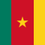 Cameroon, team logo