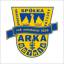 Arka Gdynia, team logo