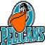 Pelicans, team logo