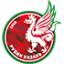Rubin Kazan, team logo