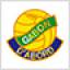 Gabon, team logo
