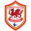 Cardiff City, team logo