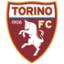 Torino, team logo