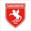 Samsunspor, team logo