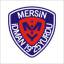 Mersin Idman Yurdu, team logo