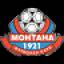 Montana, team logo
