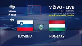 Словения - Венгрия. Обзор матча