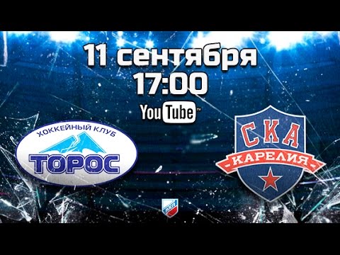 Торос - СКА-Карелия. Обзор матча