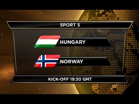 Венгрия - Норвегия. Обзор матча