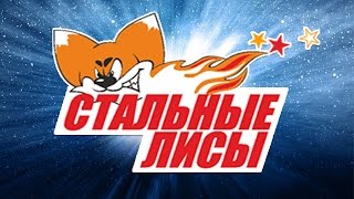 Стальные лисы - Кузнецкие Медведи. Обзор матча