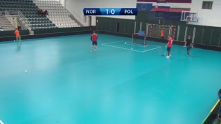 Норвегия - Польша. Обзор матча